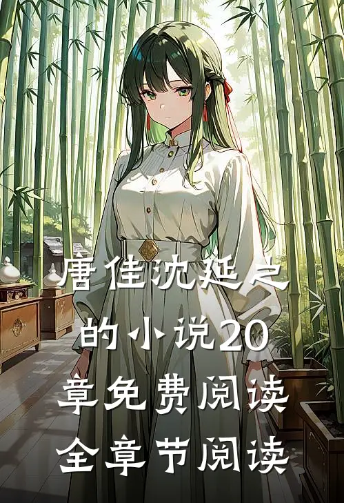 唐佳沈延之的小说20章免费阅读全章节阅读