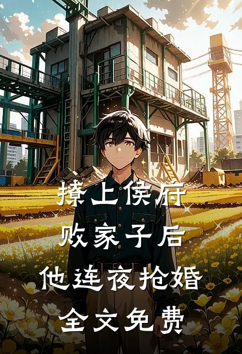 撩上侯府败家子后,他连夜抢婚全文免费观看
