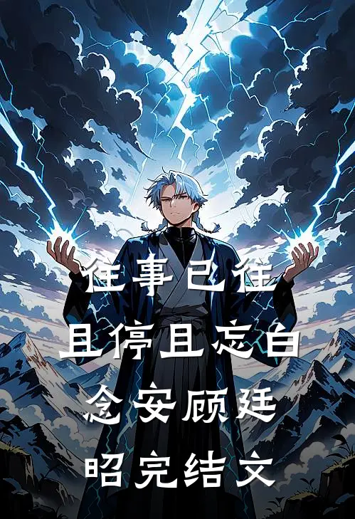往事已往，且停且忘白念安顾廷昭完结文