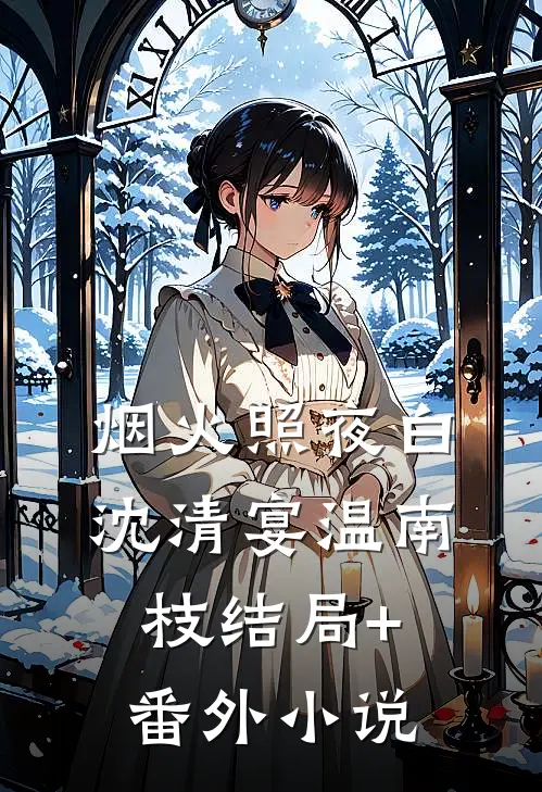 烟火照夜白沈清宴温南枝结局+番外小说