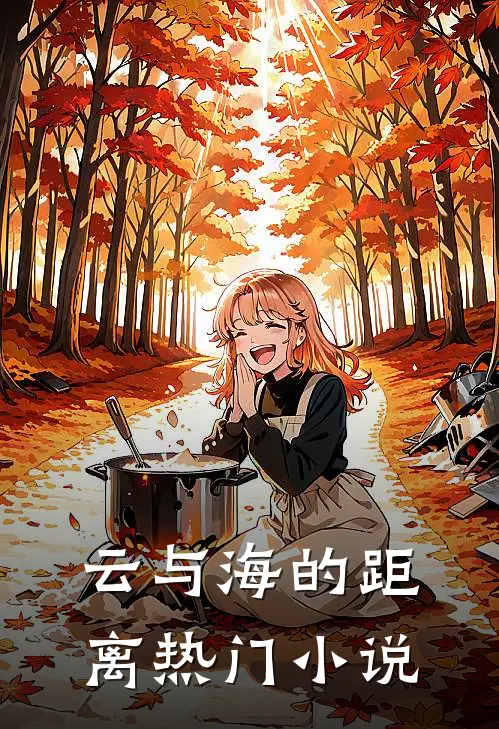 云与海的距离热门小说