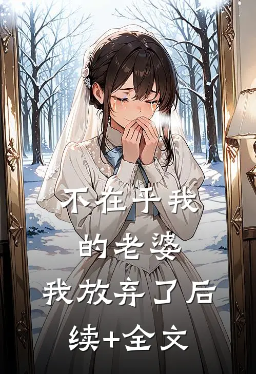 不在乎我的老婆，我放弃了后续+全文