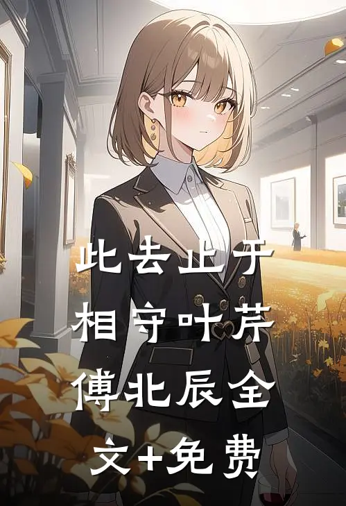 此去止于相守叶芹傅北辰全文+免费