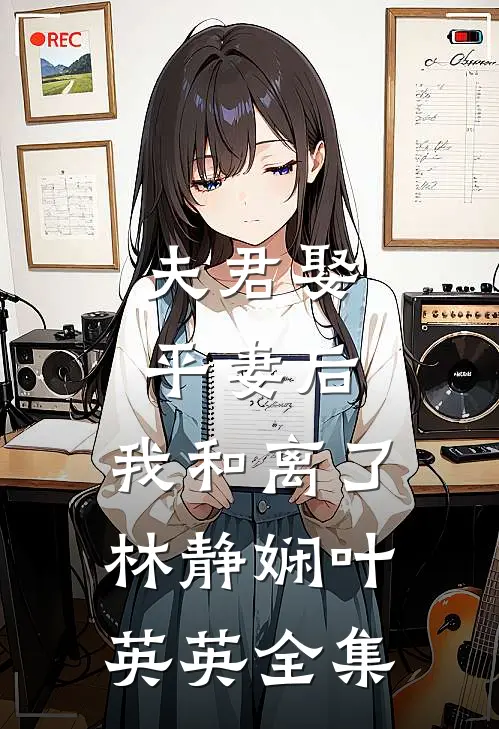 夫君娶平妻后，我和离了:  林静娴叶英英 全集