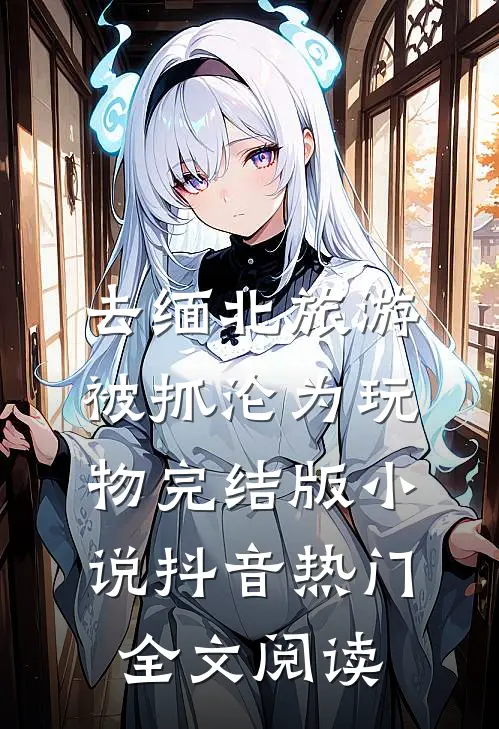 去缅北旅游被抓沦为玩物完结版小说_抖音热门全文阅读