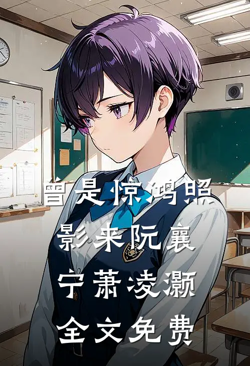 曾是惊鸿照影来阮襄宁萧凌灏全文免费