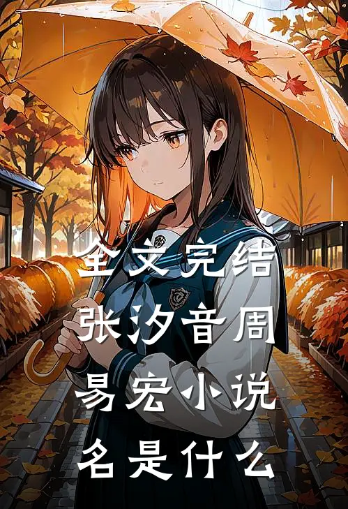全文完结张汐音周易宏小说名是什么