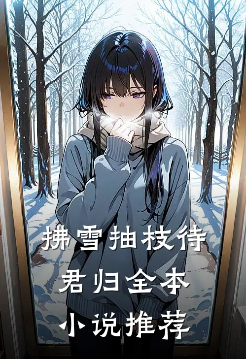 拂雪抽枝待君归全本小说推荐