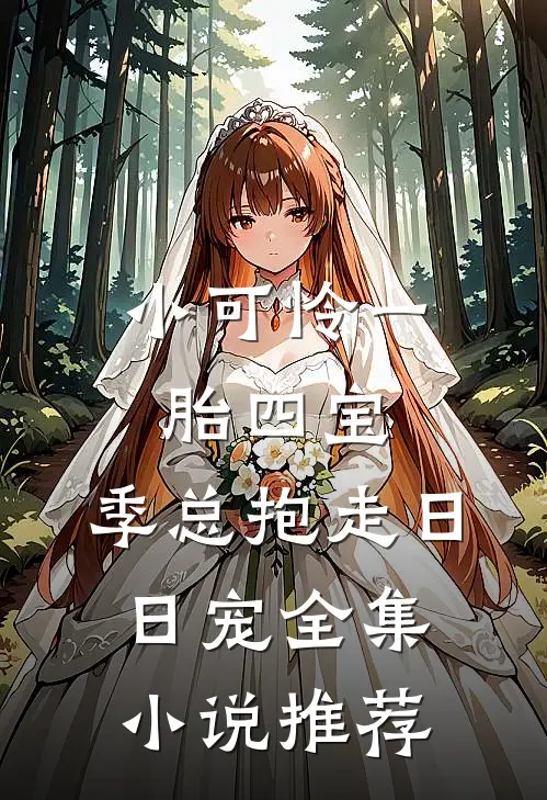 小可怜一胎四宝，季总抱走日日宠全集小说推荐