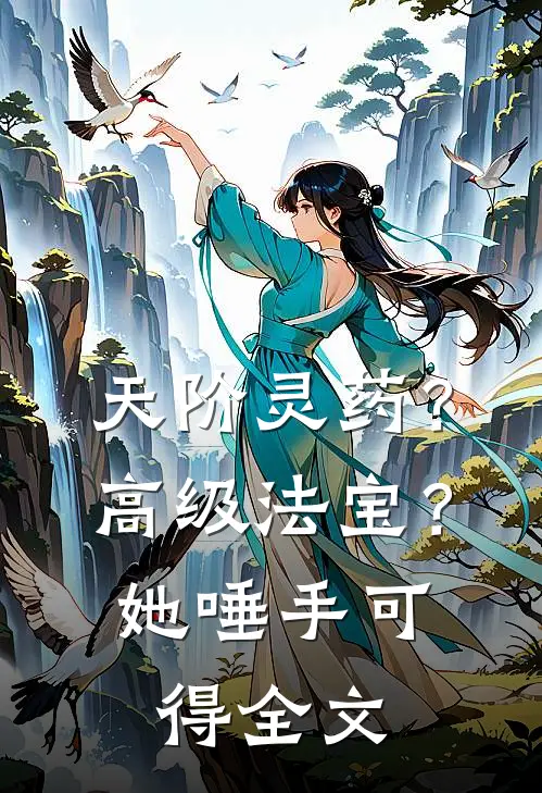 天阶灵药？高级法宝？她唾手可得全文