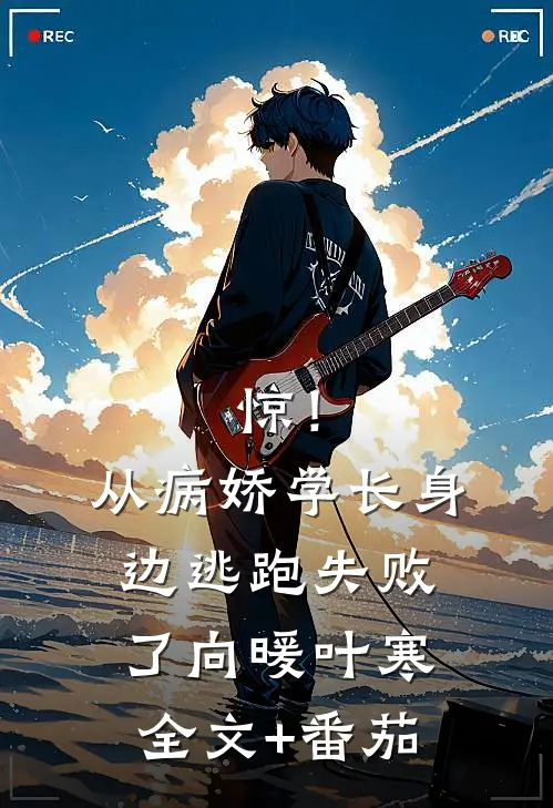 惊！从病娇学长身边逃跑失败了向暖叶寒全文+番茄
