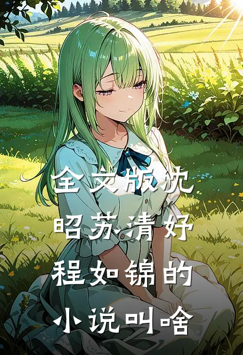全文版沈昭苏清妤程如锦的小说叫啥