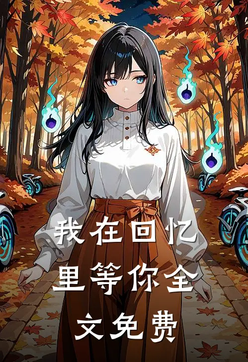 我在回忆里等你全文免费