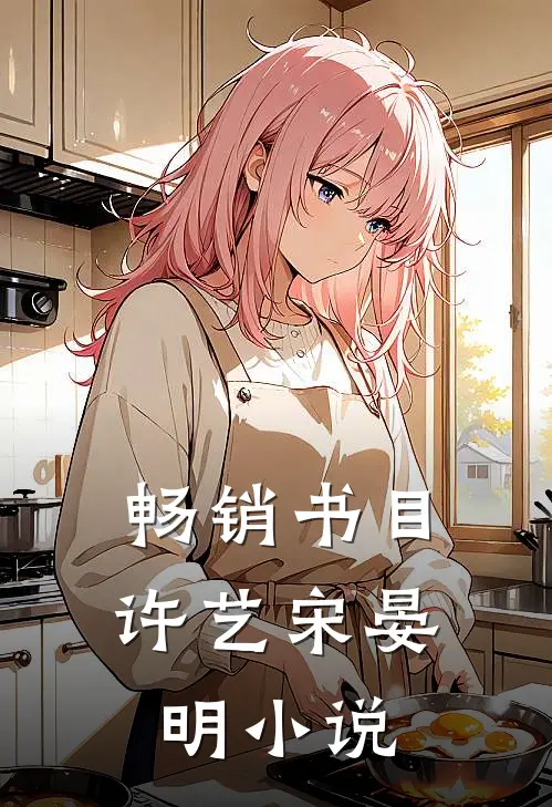畅销书目许艺宋晏明小说