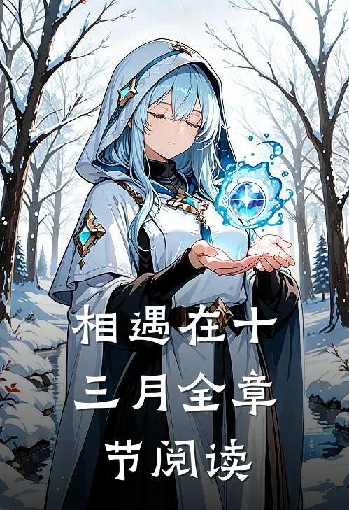 相遇在十三月全章节阅读