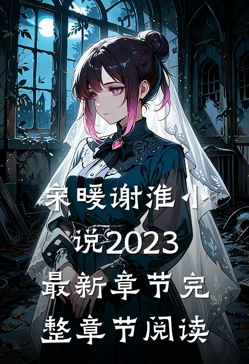宋暖谢淮小说2023最新章节完整章节阅读