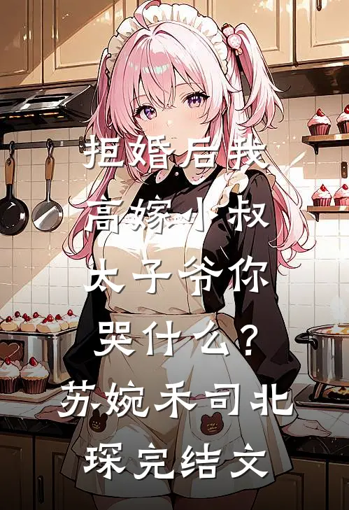 拒婚后我高嫁小叔，太子爷你哭什么？苏婉禾司北琛完结文