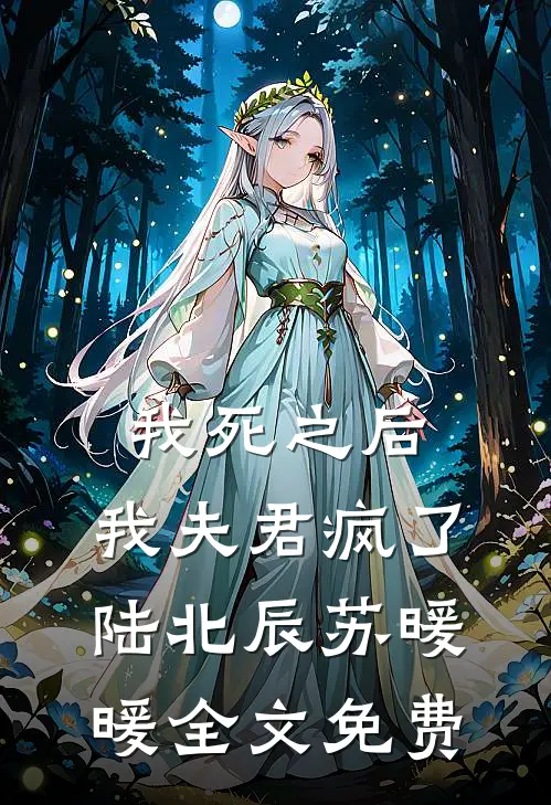 我死之后,我夫君疯了陆北辰苏暖暖全文免费观看