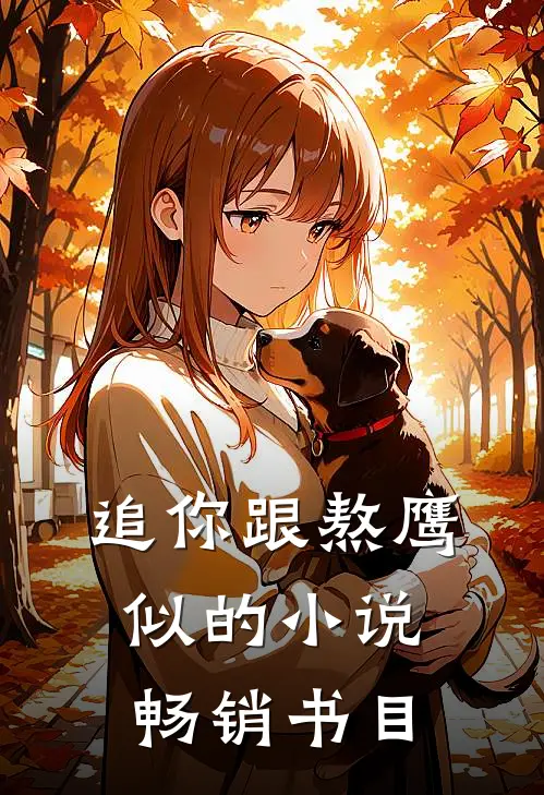 追你跟熬鹰似的小说畅销书目